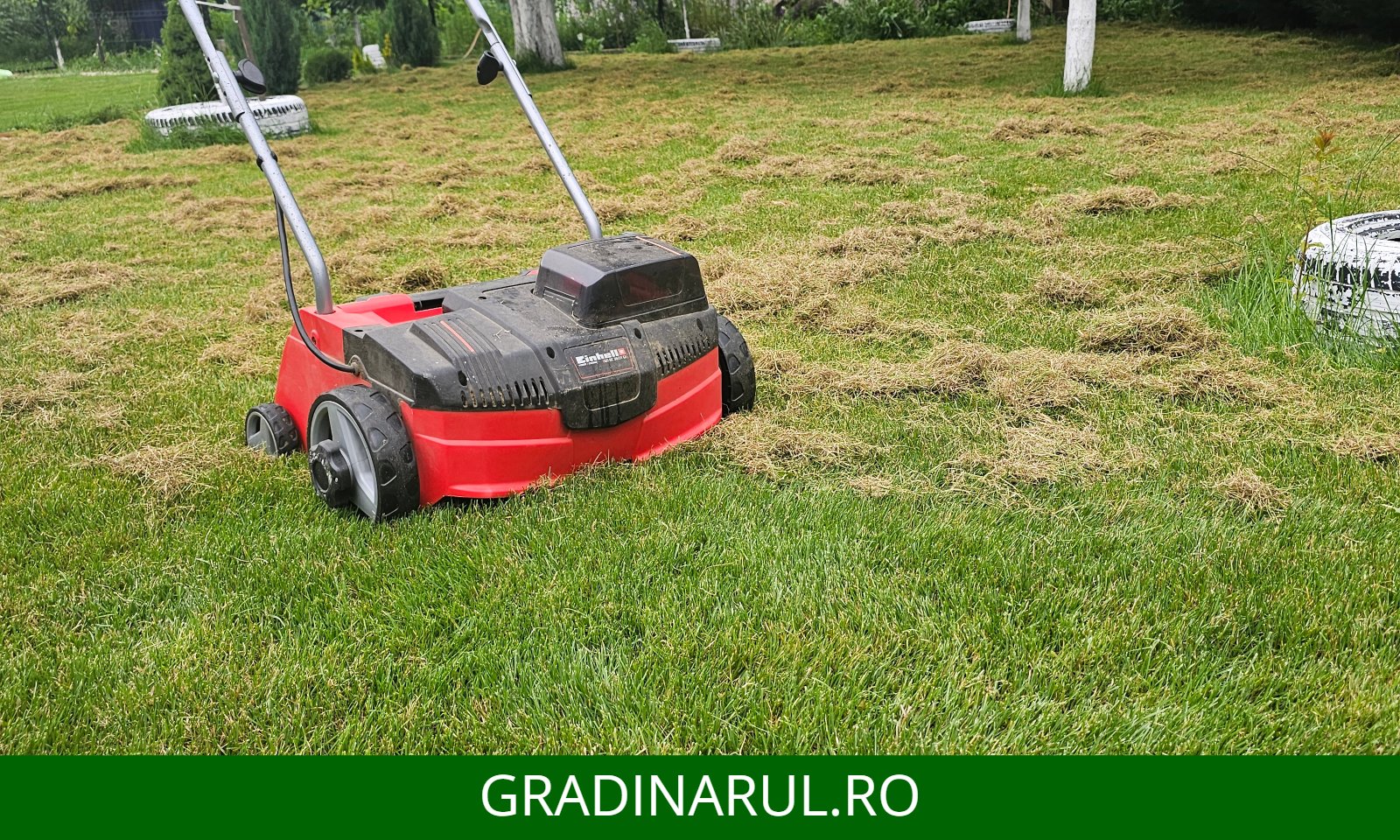 scarificarea gazonului acasa