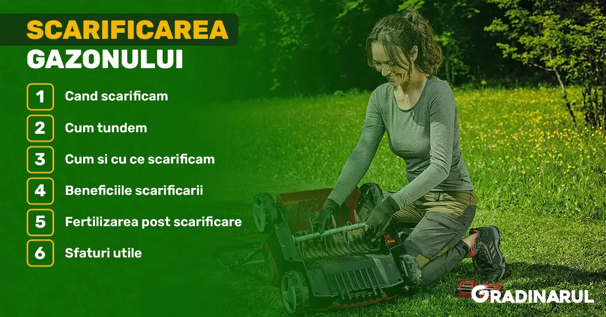 scarificarea-gazonului