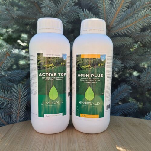 Pachet Profesional de Intretinere Plante Verzi, Flori & Pomi: Active Top 1kg + Amin Plus 1kg - Emerald Green Italia