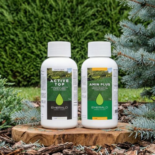 active top si amin plus ingrasaminte plante verzi, brazi