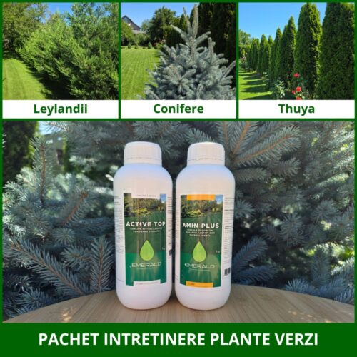pachet intretinere plante verzi