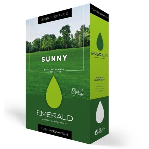 seminte de gazon sunny