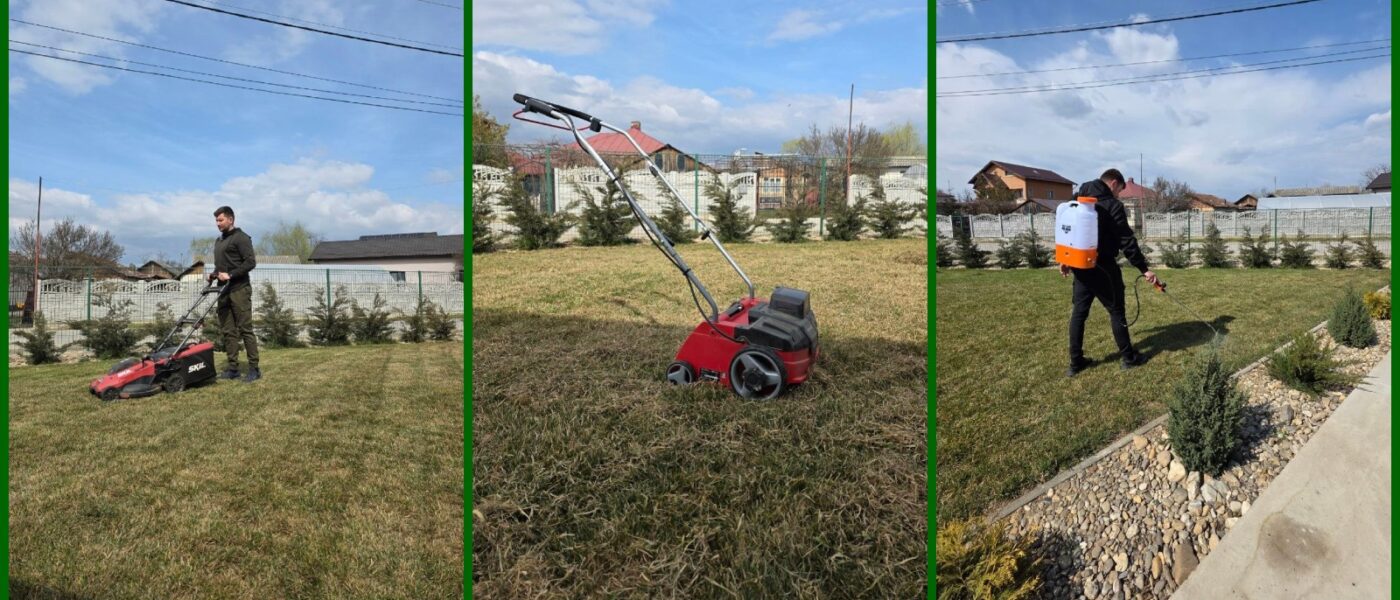 Operatiuni dupa iarna - ingrijirea gazonului primavara