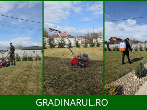 Operatiuni dupa iarna - ingrijirea gazonului primavara
