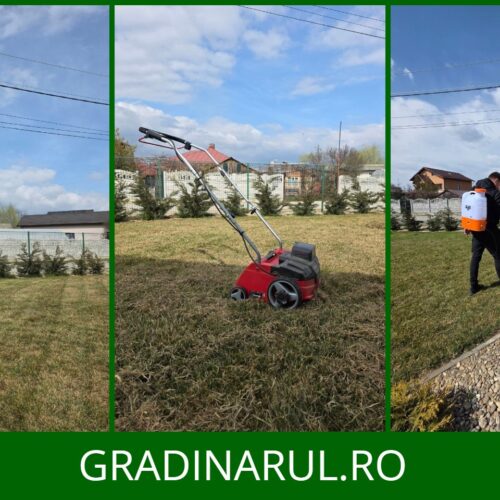 Operatiuni dupa iarna - ingrijirea gazonului primavara