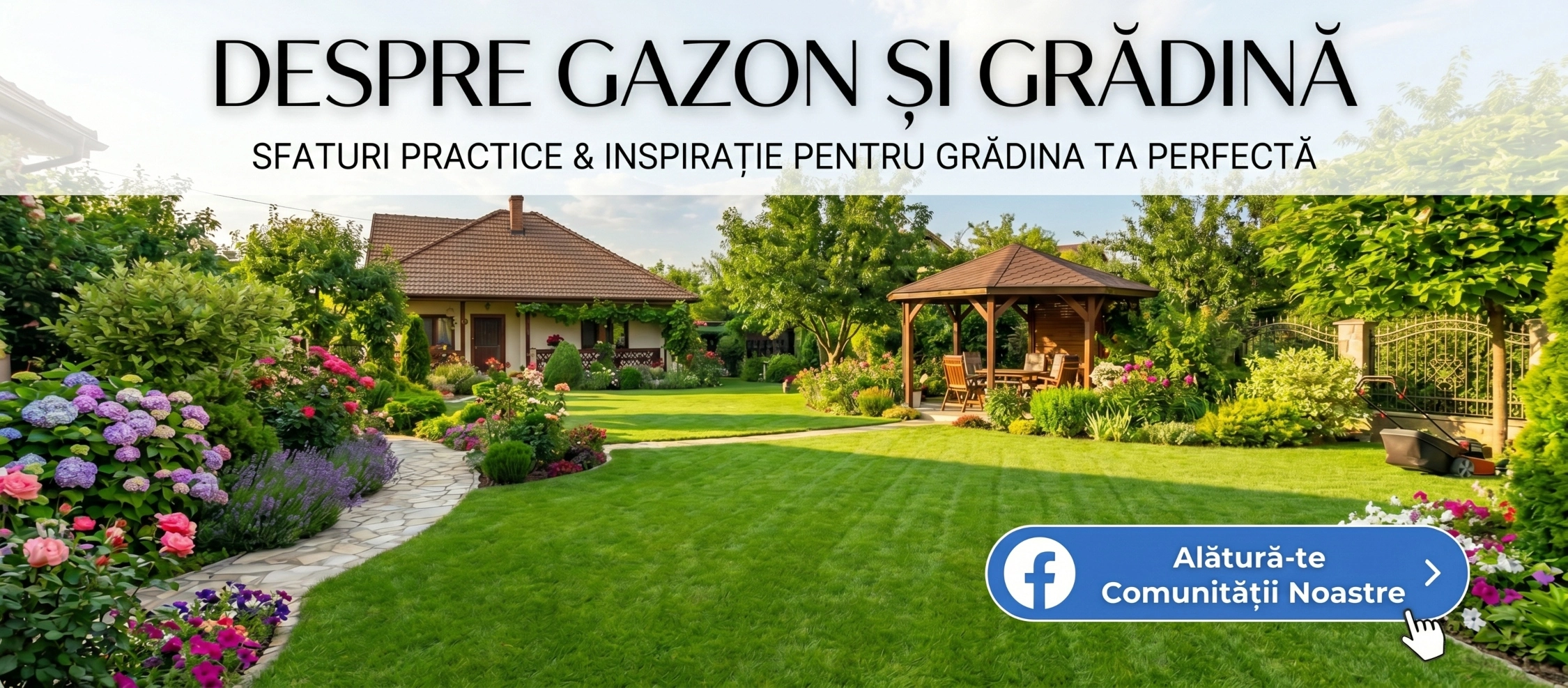 banner facebook grup