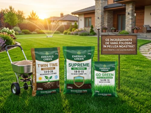Ce îngrășăminte de vară folosim în peluza noastră? Ghid complet pentru un gazon perfect!