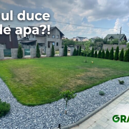 lipsa apa in gazon