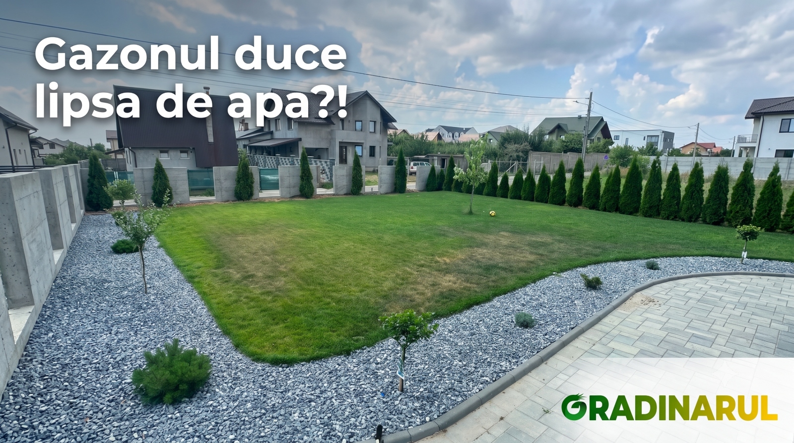 lipsa apa in gazon
