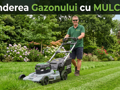 tunderea cu mulcire