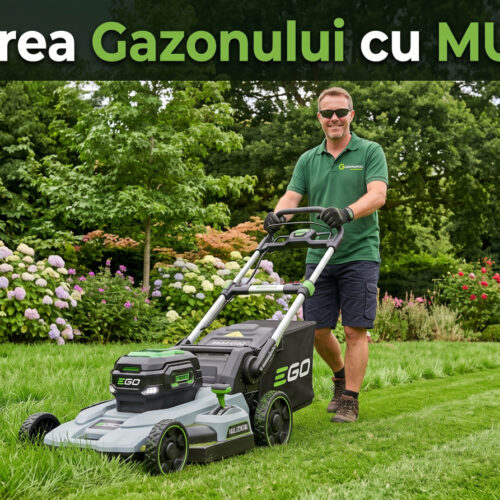 tunderea cu mulcire